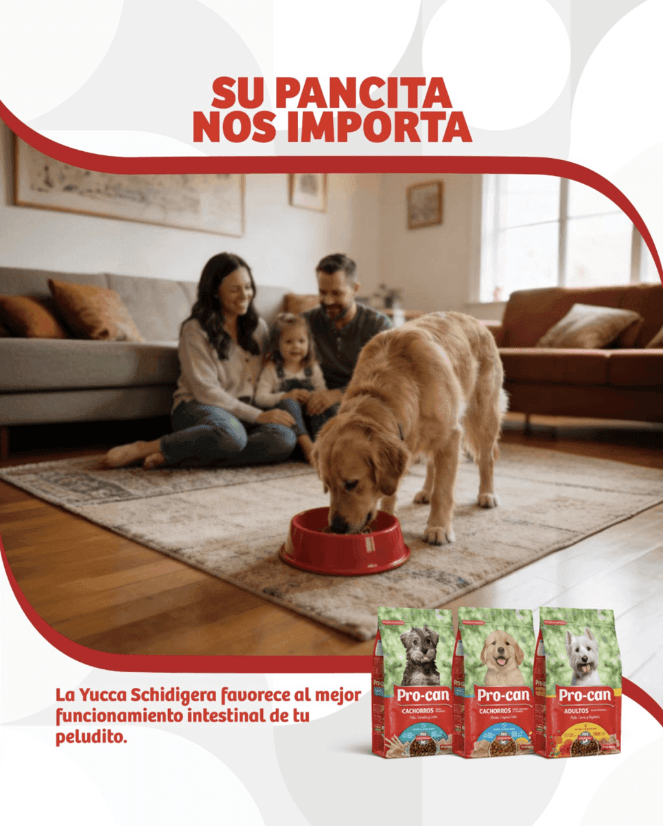 Pro-can — contenido en Instagram