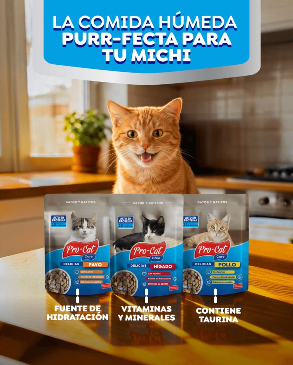 ProCat Care — contenido en Instagram Post