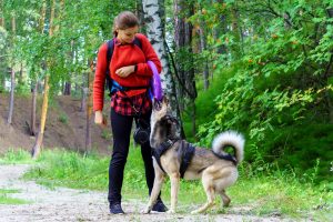 Mujer y su perro jugando juntos en el bosque